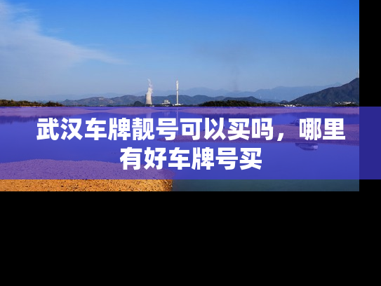武汉车牌靓号可以买吗，哪里有好车牌号买