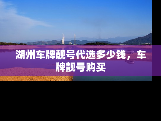湖州车牌靓号代选多少钱，车牌靓号购买