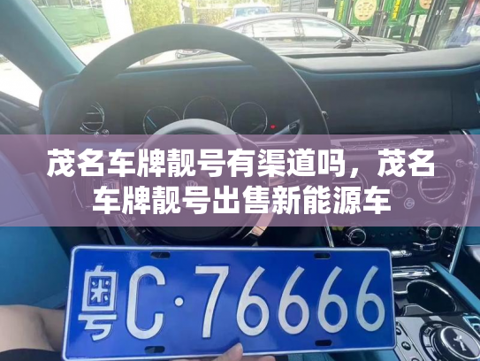 茂名车牌靓号有渠道吗,茂名车牌靓号出售新能源车-第2张图片-七号汽车选号 茂名车牌靓号有渠道吗,茂名车牌靓号出售新能源车-第2张图片-七号汽车选号