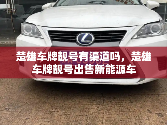 楚雄车牌靓号有渠道吗,楚雄车牌靓号出售新能源车-第2张图片-七号汽车选号 楚雄车牌靓号有渠道吗,楚雄车牌靓号出售新能源车-第2张图片-七号汽车选号