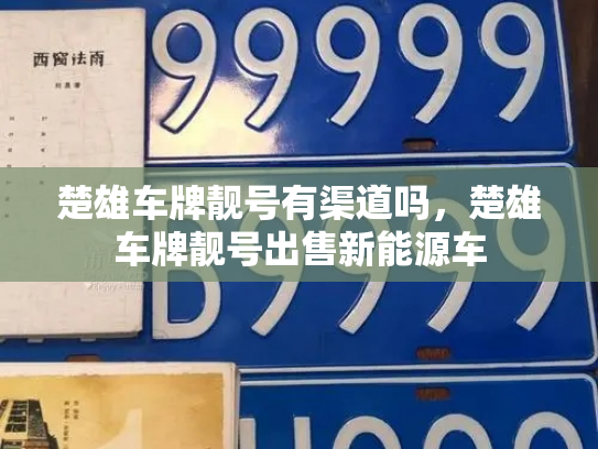 楚雄车牌靓号有渠道吗,楚雄车牌靓号出售新能源车-第3张图片-七号汽车选号 楚雄车牌靓号有渠道吗,楚雄车牌靓号出售新能源车-第3张图片-七号汽车选号