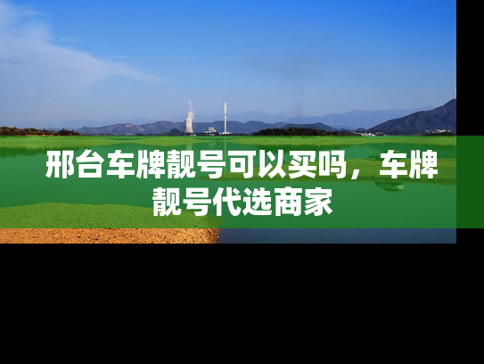 邢台车牌靓号可以买吗，车牌靓号代选商家