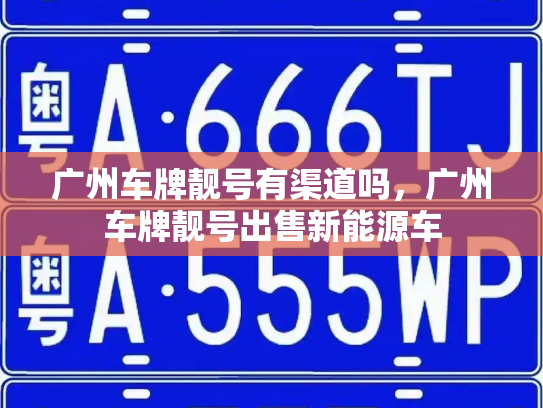 广州车牌靓号有渠道吗,广州车牌靓号出售新能源车-第2张图片-七号汽车选号 广州车牌靓号有渠道吗,广州车牌靓号出售新能源车-第2张图片-七号汽车选号
