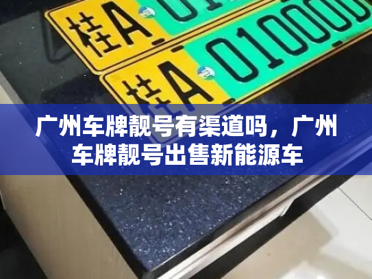 广州车牌靓号有渠道吗,广州车牌靓号出售新能源车-第3张图片-七号汽车选号 广州车牌靓号有渠道吗,广州车牌靓号出售新能源车-第3张图片-七号汽车选号