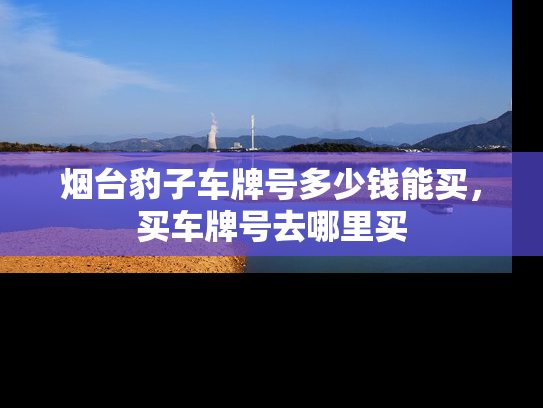 烟台豹子车牌号多少钱能买，买车牌号去哪里买