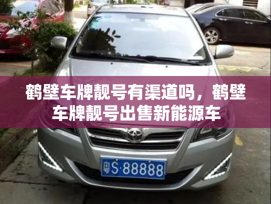 鹤壁车牌靓号有渠道吗,鹤壁车牌靓号出售新能源车-第3张图片-七号汽车选号 鹤壁车牌靓号有渠道吗,鹤壁车牌靓号出售新能源车-第3张图片-七号汽车选号