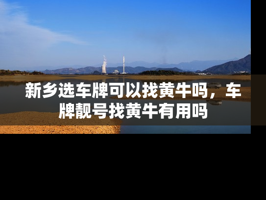 新乡选车牌可以找黄牛吗，车牌靓号找黄牛有用吗