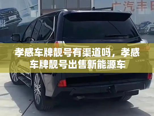 孝感车牌靓号有渠道吗,孝感车牌靓号出售新能源车-第2张图片-七号汽车选号 孝感车牌靓号有渠道吗,孝感车牌靓号出售新能源车-第2张图片-七号汽车选号