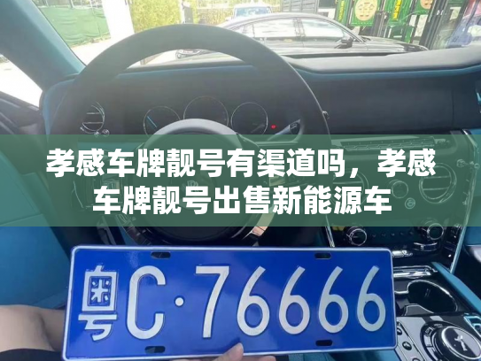 孝感车牌靓号有渠道吗,孝感车牌靓号出售新能源车-第3张图片-七号汽车选号 孝感车牌靓号有渠道吗,孝感车牌靓号出售新能源车-第3张图片-七号汽车选号