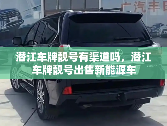 潜江车牌靓号有渠道吗，潜江车牌靓号出售新能源车-第3张图片-七号汽车选号