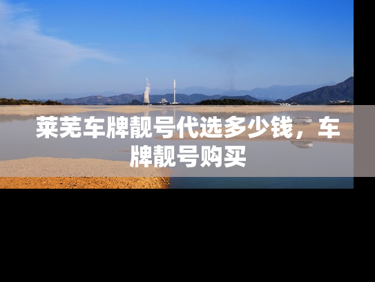 莱芜车牌靓号代选多少钱，车牌靓号购买