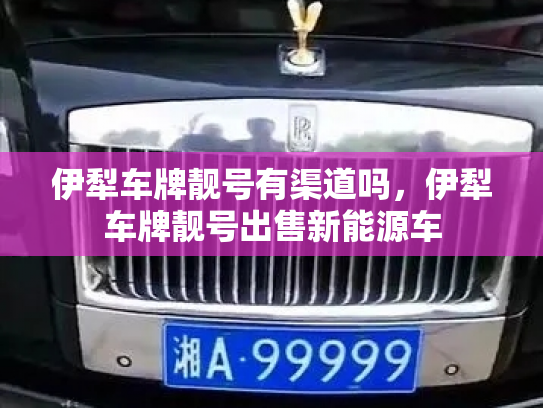 伊犁车牌靓号有渠道吗，伊犁车牌靓号出售新能源车-第2张图片-七号汽车选号