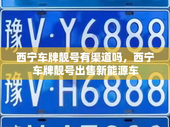 西宁车牌靓号有渠道吗，西宁车牌靓号出售新能源车-第3张图片-七号汽车选号
