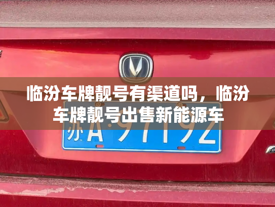 临汾车牌靓号有渠道吗,临汾车牌靓号出售新能源车-第2张图片-七号汽车选号 临汾车牌靓号有渠道吗,临汾车牌靓号出售新能源车-第2张图片-七号汽车选号