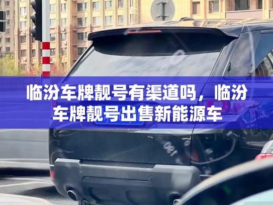 临汾车牌靓号有渠道吗,临汾车牌靓号出售新能源车-第3张图片-七号汽车选号 临汾车牌靓号有渠道吗,临汾车牌靓号出售新能源车-第3张图片-七号汽车选号