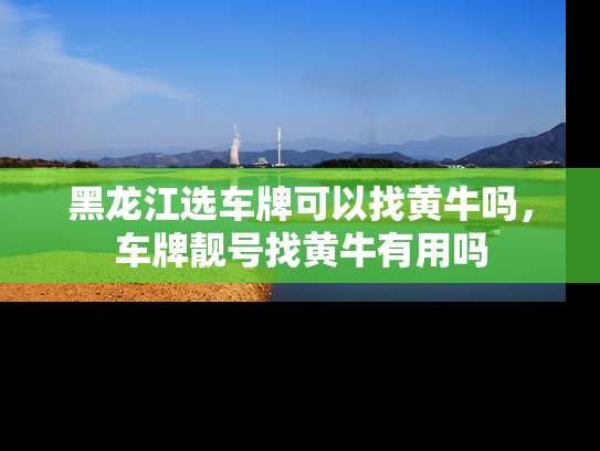 黑龙江选车牌可以找黄牛吗，车牌靓号找黄牛有用吗