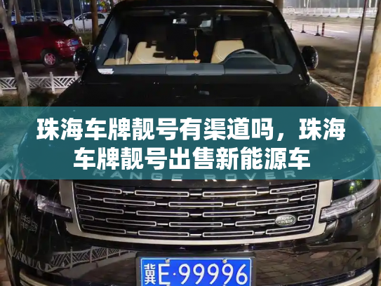 珠海车牌靓号有渠道吗,珠海车牌靓号出售新能源车-第3张图片-七号汽车选号 珠海车牌靓号有渠道吗,珠海车牌靓号出售新能源车-第3张图片-七号汽车选号