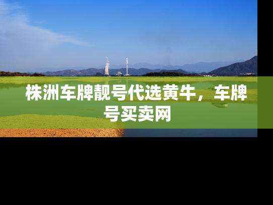 株洲车牌靓号代选黄牛，车牌号买卖网