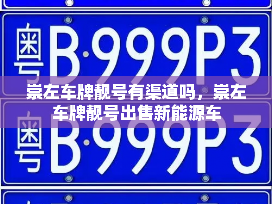 崇左车牌靓号有渠道吗,崇左车牌靓号出售新能源车-第3张图片-七号汽车选号 崇左车牌靓号有渠道吗,崇左车牌靓号出售新能源车-第3张图片-七号汽车选号