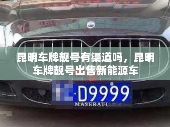 昆明车牌靓号有渠道吗,昆明车牌靓号出售新能源车-第3张图片-七号汽车选号 昆明车牌靓号有渠道吗,昆明车牌靓号出售新能源车-第3张图片-七号汽车选号