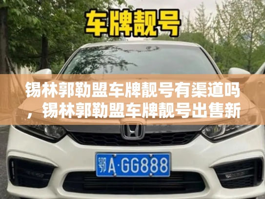 锡林郭勒盟车牌靓号有渠道吗,锡林郭勒盟车牌靓号出售新能源车-第2张图片-七号汽车选号 锡林郭勒盟车牌靓号有渠道吗,锡林郭勒盟车牌靓号出售新能源车-第2张图片-七号汽车选号