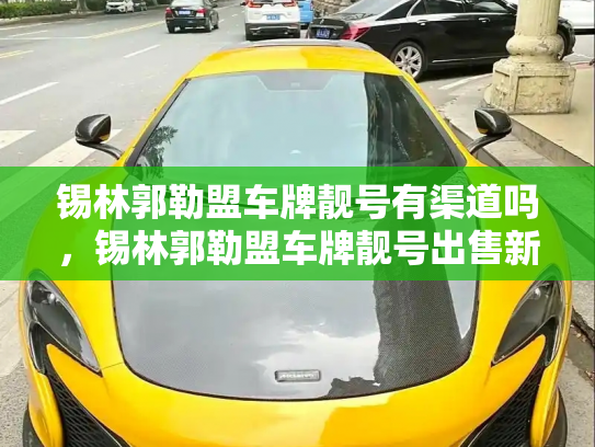 锡林郭勒盟车牌靓号有渠道吗,锡林郭勒盟车牌靓号出售新能源车-第3张图片-七号汽车选号 锡林郭勒盟车牌靓号有渠道吗,锡林郭勒盟车牌靓号出售新能源车-第3张图片-七号汽车选号