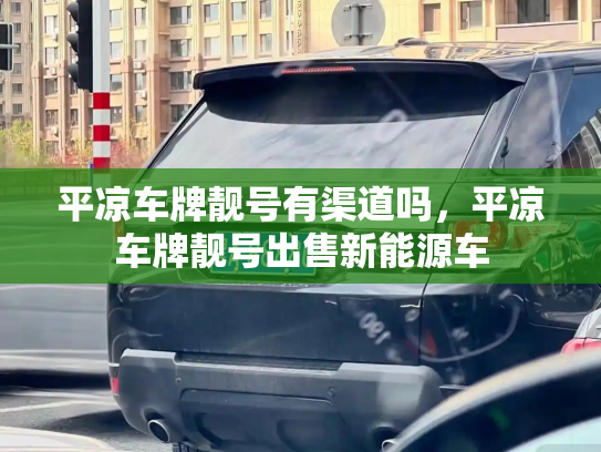 平凉车牌靓号有渠道吗,平凉车牌靓号出售新能源车-第2张图片-七号汽车选号 平凉车牌靓号有渠道吗,平凉车牌靓号出售新能源车-第2张图片-七号汽车选号