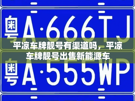 平凉车牌靓号有渠道吗,平凉车牌靓号出售新能源车-第3张图片-七号汽车选号 平凉车牌靓号有渠道吗,平凉车牌靓号出售新能源车-第3张图片-七号汽车选号