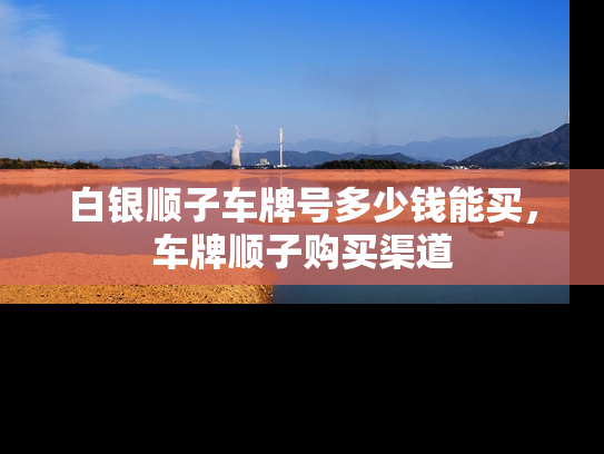 白银顺子车牌号多少钱能买，车牌顺子购买渠道