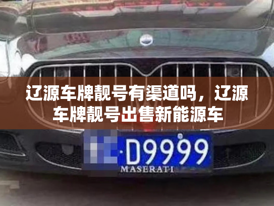 辽源车牌靓号有渠道吗,辽源车牌靓号出售新能源车-第2张图片-七号汽车选号 辽源车牌靓号有渠道吗,辽源车牌靓号出售新能源车-第2张图片-七号汽车选号