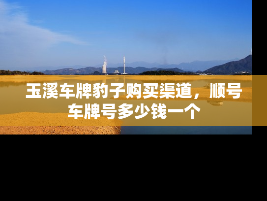 玉溪车牌豹子购买渠道，顺号车牌号多少钱一个
