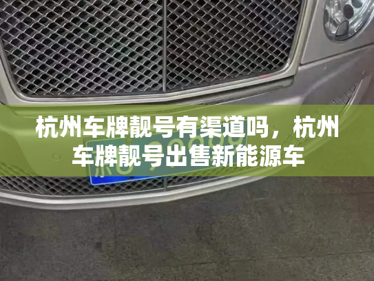 杭州车牌靓号有渠道吗，杭州车牌靓号出售新能源车-第3张图片-七号汽车选号