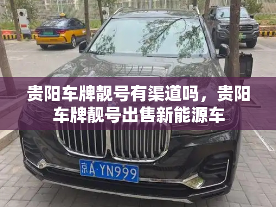 贵阳车牌靓号有渠道吗,贵阳车牌靓号出售新能源车-第2张图片-七号汽车选号 贵阳车牌靓号有渠道吗,贵阳车牌靓号出售新能源车-第2张图片-七号汽车选号