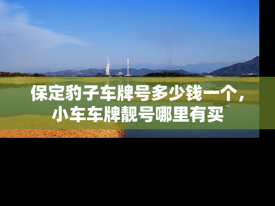 保定豹子车牌号多少钱一个，小车车牌靓号哪里有买