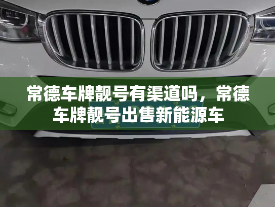 常德车牌靓号有渠道吗,常德车牌靓号出售新能源车-第2张图片-七号汽车选号 常德车牌靓号有渠道吗,常德车牌靓号出售新能源车-第2张图片-七号汽车选号