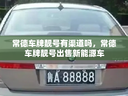 常德车牌靓号有渠道吗,常德车牌靓号出售新能源车-第3张图片-七号汽车选号 常德车牌靓号有渠道吗,常德车牌靓号出售新能源车-第3张图片-七号汽车选号