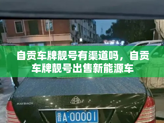 自贡车牌靓号有渠道吗,自贡车牌靓号出售新能源车-第2张图片-七号汽车选号 自贡车牌靓号有渠道吗,自贡车牌靓号出售新能源车-第2张图片-七号汽车选号
