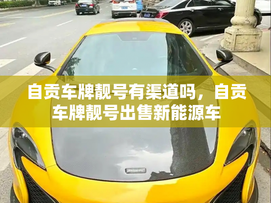 自贡车牌靓号有渠道吗,自贡车牌靓号出售新能源车-第3张图片-七号汽车选号 自贡车牌靓号有渠道吗,自贡车牌靓号出售新能源车-第3张图片-七号汽车选号