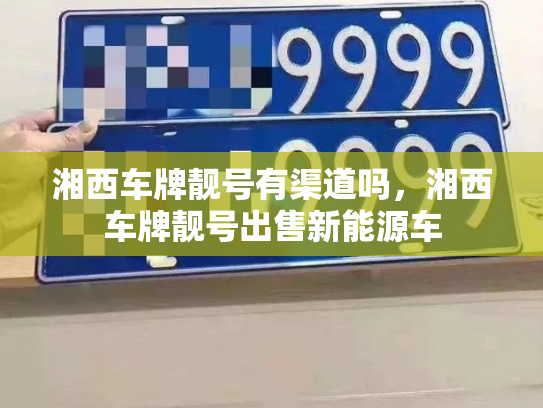 湘西车牌靓号有渠道吗，湘西车牌靓号出售新能源车-第2张图片-七号汽车选号