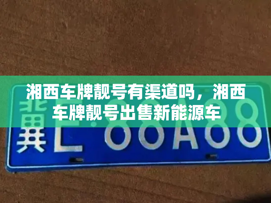 湘西车牌靓号有渠道吗，湘西车牌靓号出售新能源车-第3张图片-七号汽车选号