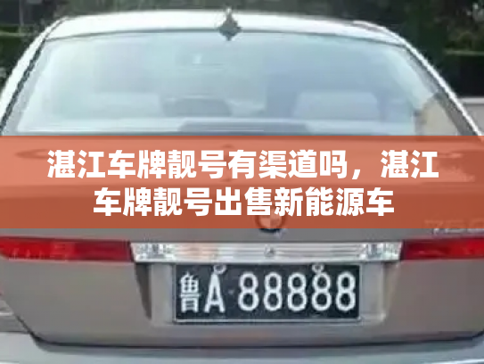 湛江车牌靓号有渠道吗，湛江车牌靓号出售新能源车-第2张图片-七号汽车选号