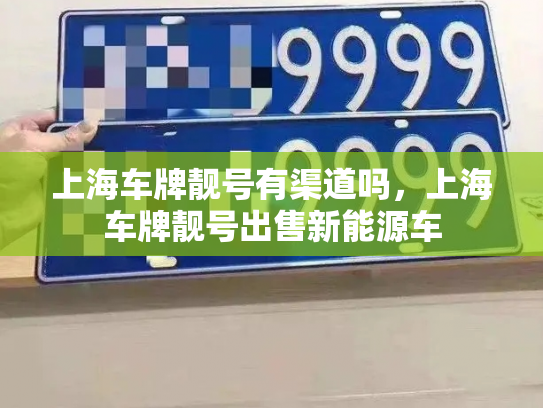 上海车牌靓号有渠道吗，上海车牌靓号出售新能源车-第2张图片-七号汽车选号