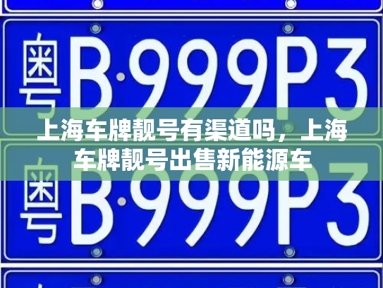 上海车牌靓号有渠道吗，上海车牌靓号出售新能源车-第3张图片-七号汽车选号