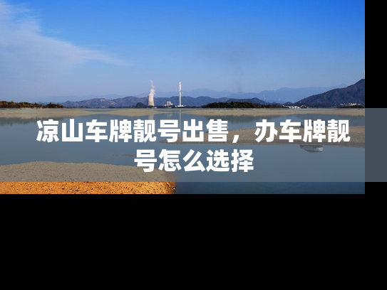 凉山车牌靓号出售，办车牌靓号怎么选择
