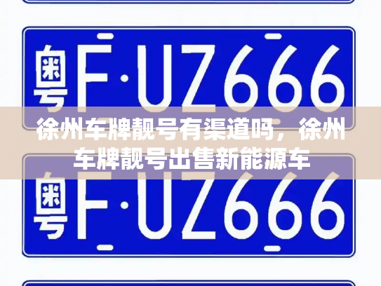 徐州车牌靓号有渠道吗，徐州车牌靓号出售新能源车-第2张图片-七号汽车选号