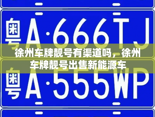 徐州车牌靓号有渠道吗，徐州车牌靓号出售新能源车-第3张图片-七号汽车选号