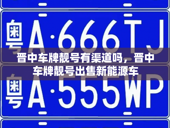 晋中车牌靓号有渠道吗,晋中车牌靓号出售新能源车-第3张图片-七号汽车选号 晋中车牌靓号有渠道吗,晋中车牌靓号出售新能源车-第3张图片-七号汽车选号