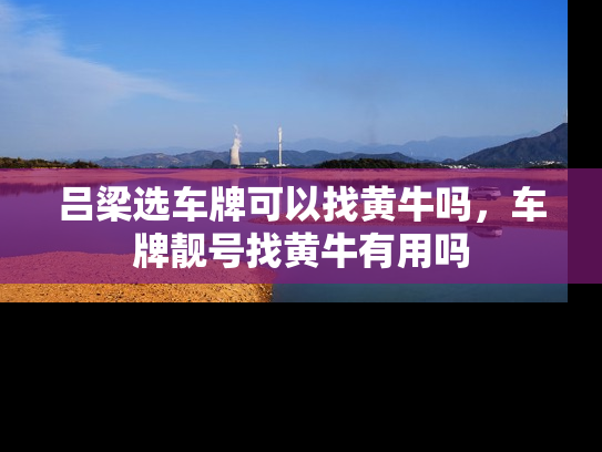 吕梁选车牌可以找黄牛吗，车牌靓号找黄牛有用吗