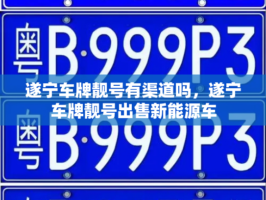 遂宁车牌靓号有渠道吗，遂宁车牌靓号出售新能源车-第2张图片-七号汽车选号