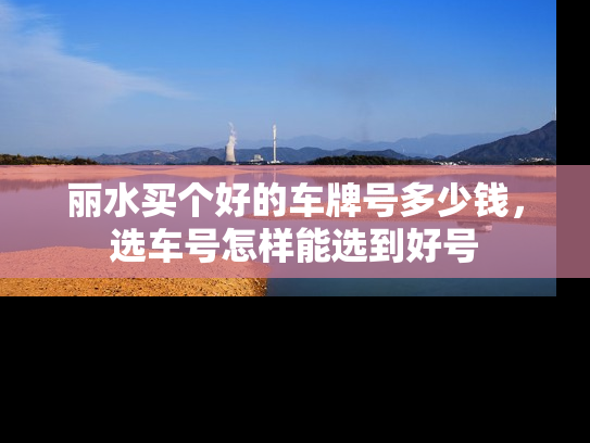 丽水买个好的车牌号多少钱，选车号怎样能选到好号